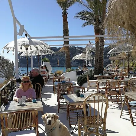 Luxe Ibiza Style, With Heated Pool El Tosalet